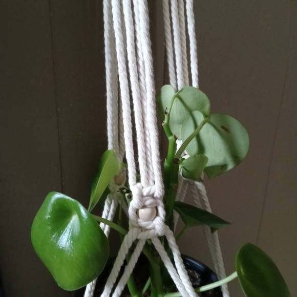 Macrame plant holder - Picture 3 of 4